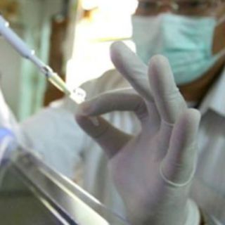 Estudios sobre obesidad y células madre podrían ganar el Nobel