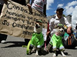 Se espera que el senado apruebe un proyecto de ley contra el maltrato a los animales, por esto se hizo la marcha. EFE  /