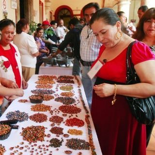 Listo Nayarit para el Festival Internacional Cervantino