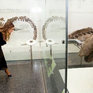 Mostrará Sarah Jessica Parker en cine ¿Cómo diablos le hace?