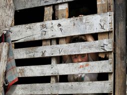 Entre las causas del problema de los flujos migratorios es la mala distribución del ingreso.  /