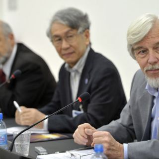 Bosón de Higgs, 'realidad o quimera'