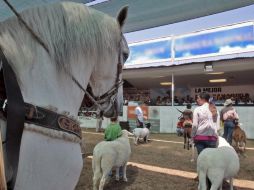 La Expo Ganadera estará  hasta el 30 de este mes en su tradicional sede en Tlaquepaque .  /