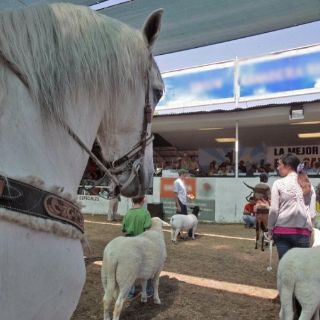 La Sagarpa descarta desabasto de víveres pese a sequía