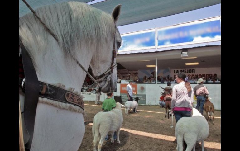 La Expo Ganadera estará  hasta el 30 de este mes en su tradicional sede en Tlaquepaque .  /