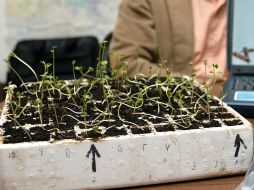 La composta es un método para convertir los desechos de origen animal. ARCHIVO  /