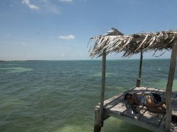 Habrá una serie de actividades para celebrar los 37 años de consolidación del estado de Quintana Roo. ARCHIVO.  /