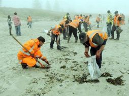 Un grupo de personas limpia la arena de petróleo vertido por el carguero Rena, en el arrecife de Astrolabe, en Monte Maunganui. EFE  /