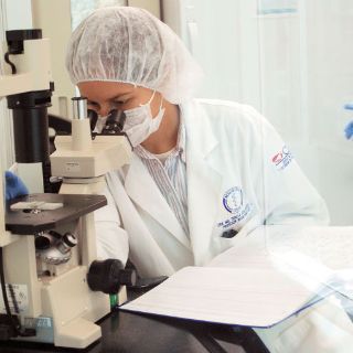 La tuberculosis disminuye en el mundo por primera vez, afirma OMS