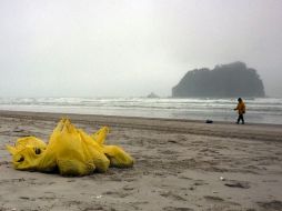 Nueva Zelanda enfrenta la 'peor catástrofe marítima' al contaminarse una zona poblada por ballenas y delfines. AFP  /