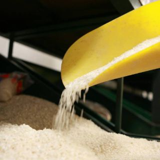 Vitamina E propicia cáncer de próstata