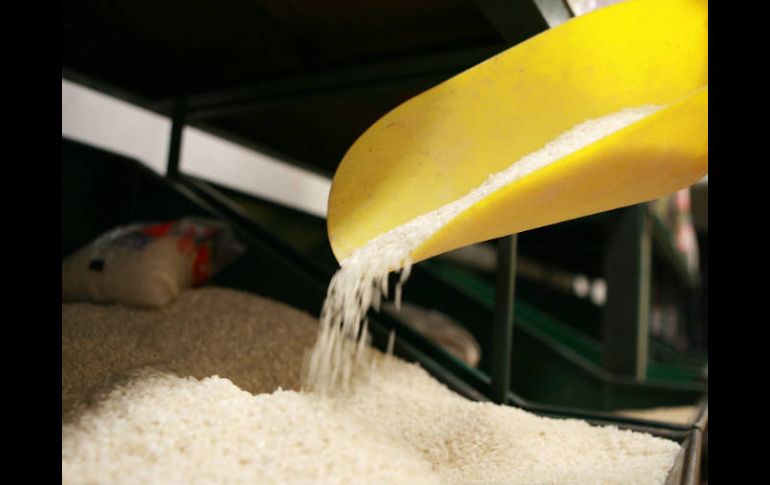 Alimentos como arroz, soja, cacahuate, coco, cereales y pan integral contienen Vitamina E. ARCHIVO  /