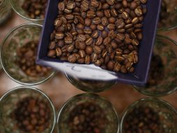 La aplicación de este mineral tiene un gran impacto en cultivos como el café, la caña e incluso en tomate  y la papa. EFE  /