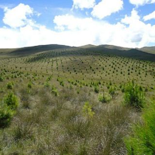 Crean Procuraduría de Protección al Medio Ambiente en Sonora