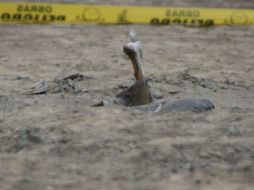 Los cuerpos localizados corresponden a dos hombres aparentemente jóvenes.  /