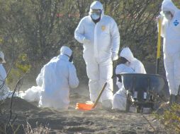 El Tribunal Superior de Justicia del Distrito Federal dijo que hará todo lo posible para que los cuerpos sean reclamados. ESPECIAL  /