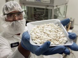 Investigadores dicen que los antibióticos simples actuales podrían vencer a la bactería que causó la epidemia del siglo XIV.  /