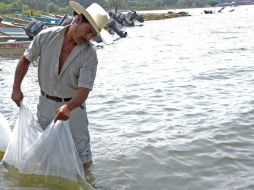 Buscan mayores beneficios para los pescadores. NOTIMEX  /