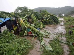 ''Jova''  trajo beneficios en La Costa y en otras regiones, sobre todo donde hubo sequía en el reciente verano.  /