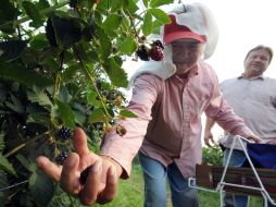 Las autoridades de Alabama han exhortado a los empleadores a anunciar sus ofertas de trabajo en el portal del programa.  /