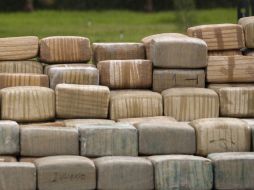 Drogra decomisada. En un condado de Texas, más de 25 menores han sido detenidos por tráfico de drogas.  /