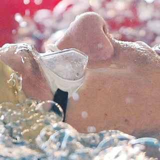 Tritones, listos para nadar