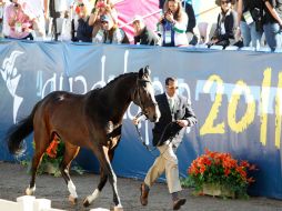 12 equipos pelearán el oro. ARCHIVO  /