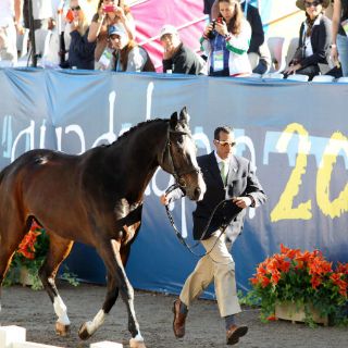 Inician competencias ecuestres