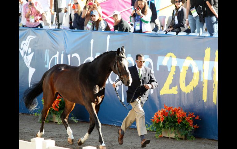 12 equipos pelearán el oro. ARCHIVO  /