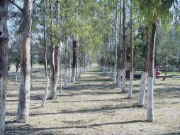 Vista del Parque Zoológico de Moroleón. ESPECIAL  /