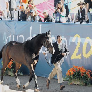 Adiestramiento, con metas altas