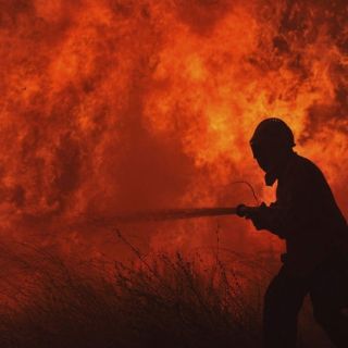 Incendio arrasa con la mayor parte de un parque natural en Sarajevo