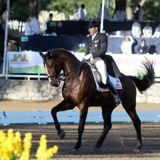 Estados Unidos,  oro en adiestramiento