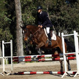 Abraham se aleja de la medalla