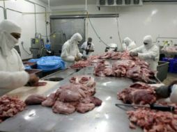 Según la OCDE, la mayoría de los mexicanos se considera satisfecho con su nivel de bienestar.  /