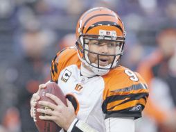 Palmer sustituirá a Jason Campbell, mariscal de los Raiders en esta temporada. AP  /