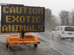 Letreros luminosos en las carreteras de la zona le advertían a los automovilistas: 'Cuidado, animales exóticos'. AP  /