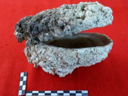 Los objetos milenarios se encontraron en diversos puntos. EL UNIVERSAL  /