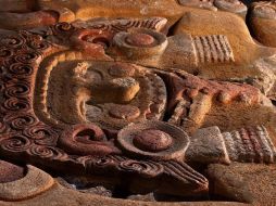 Investigador dio a conocer este estudio realizado en torno a los pendientes de caracol del género Oliva. EL UNIVERSAL  /