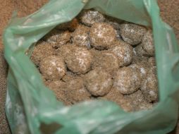 El decomiso de los huevos de tortuga se realizó en un restaurant de mariscos. ARCHIVO  /