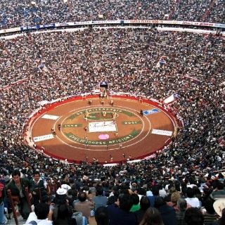 El español Talavante Se prepara en campo bravo para campaña mexicana 2011