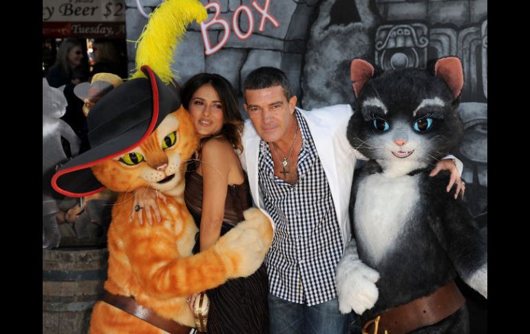 El gato con botas ha llamado la atención de cientos de fanáticos. AFP  /