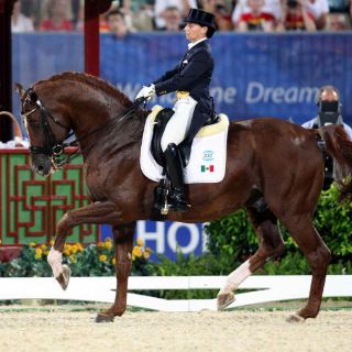 El Salto cerrará con broche de oro