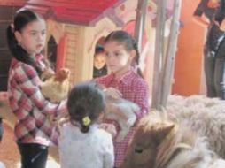 Niños y cachorros se llevan bien en La Granjita. ESPECIAL  /