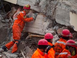 Rescatistas buscan sobrevivientes tras el sismo en Turquía. Los muertos por el desastre ascienden a 459. REUTERS  /