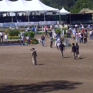 Afinan detalles para arranque ecuestre