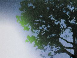 El árbol de la vida, protagonizada por Brad Pitt, es la última producción del culto de Malick. EL UNIVERSAL  /