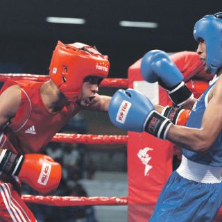 Némesis tricolor en el boxeo