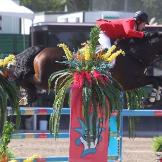 Equipo mexicano ecuestre triunfa en saltos por equipo
