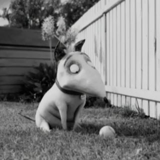 ''Frankenweenie'' de Tim Burton se estrenará en 2012